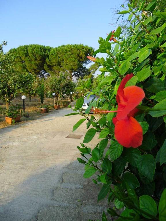 "Green" B&B Il Bracco Partinico Exterior photo